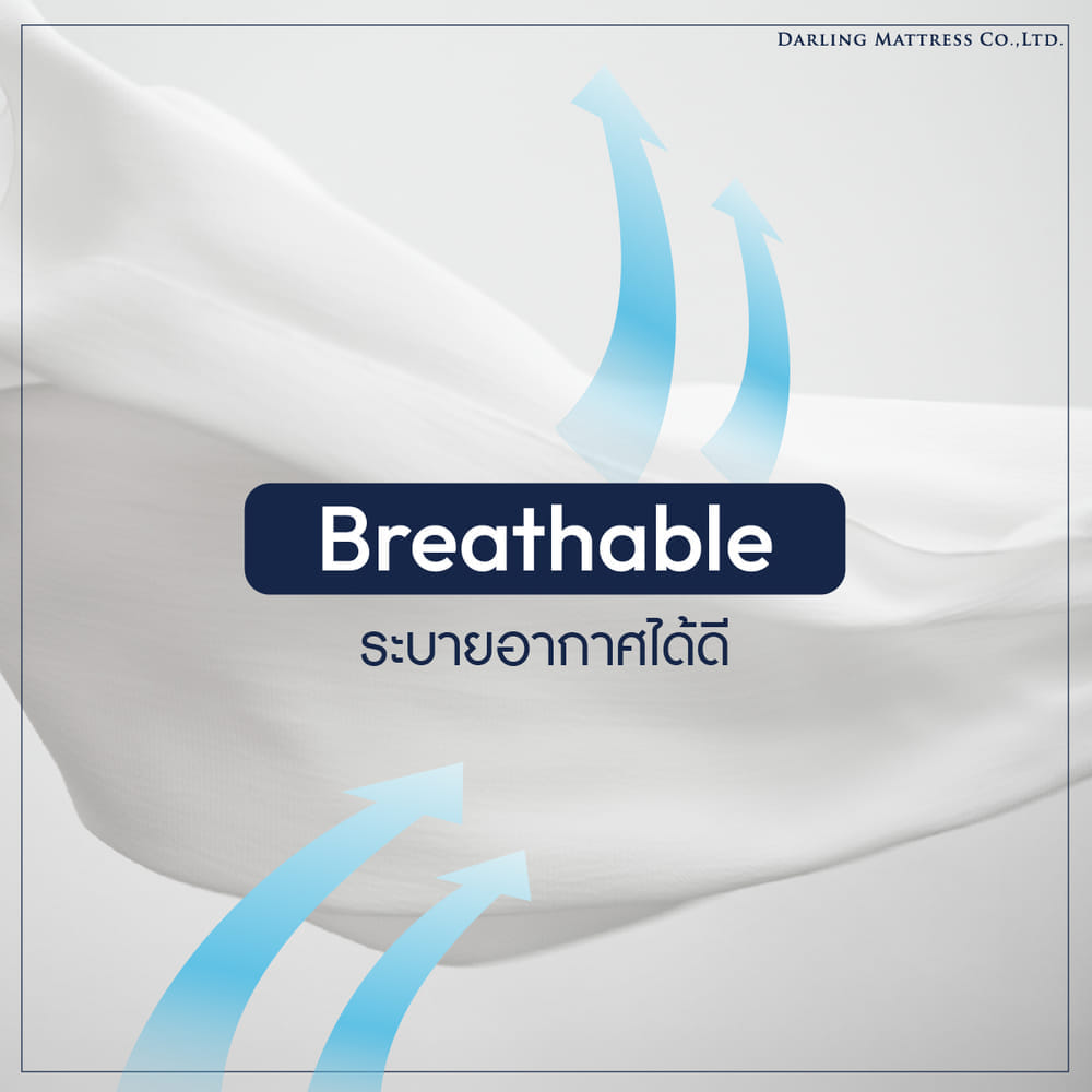 ปลอกหมอนหนุน DARLING MATTRESS รุ่นกันน้ำลาย